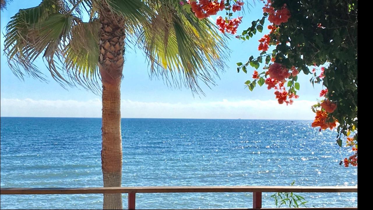 Mi Capricho 4C Beachfront -Apartment With Sea View - Costa Del Sol Sitio de Calahonda Luaran gambar